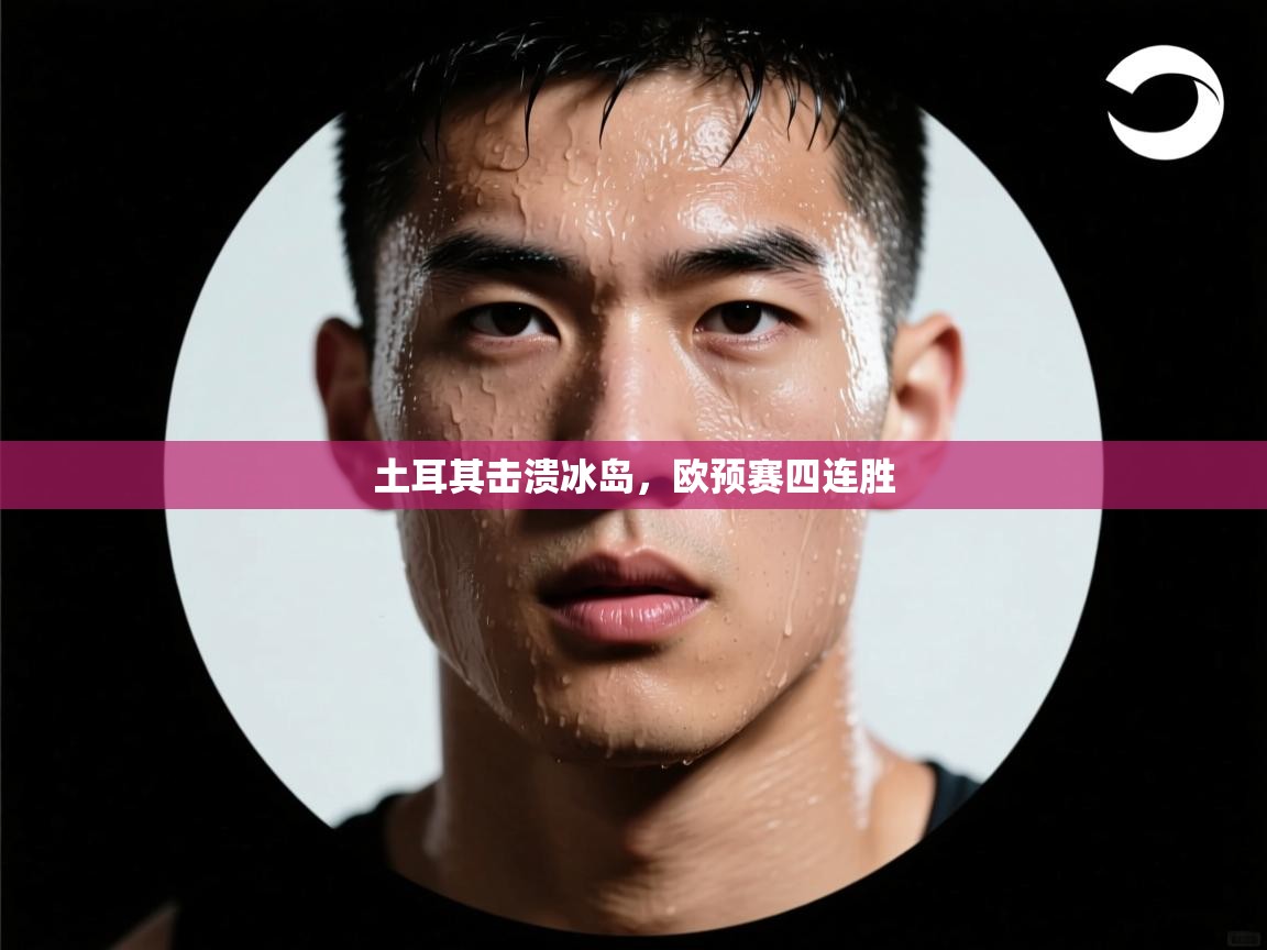 土耳其击溃冰岛，欧预赛四连胜  第1张