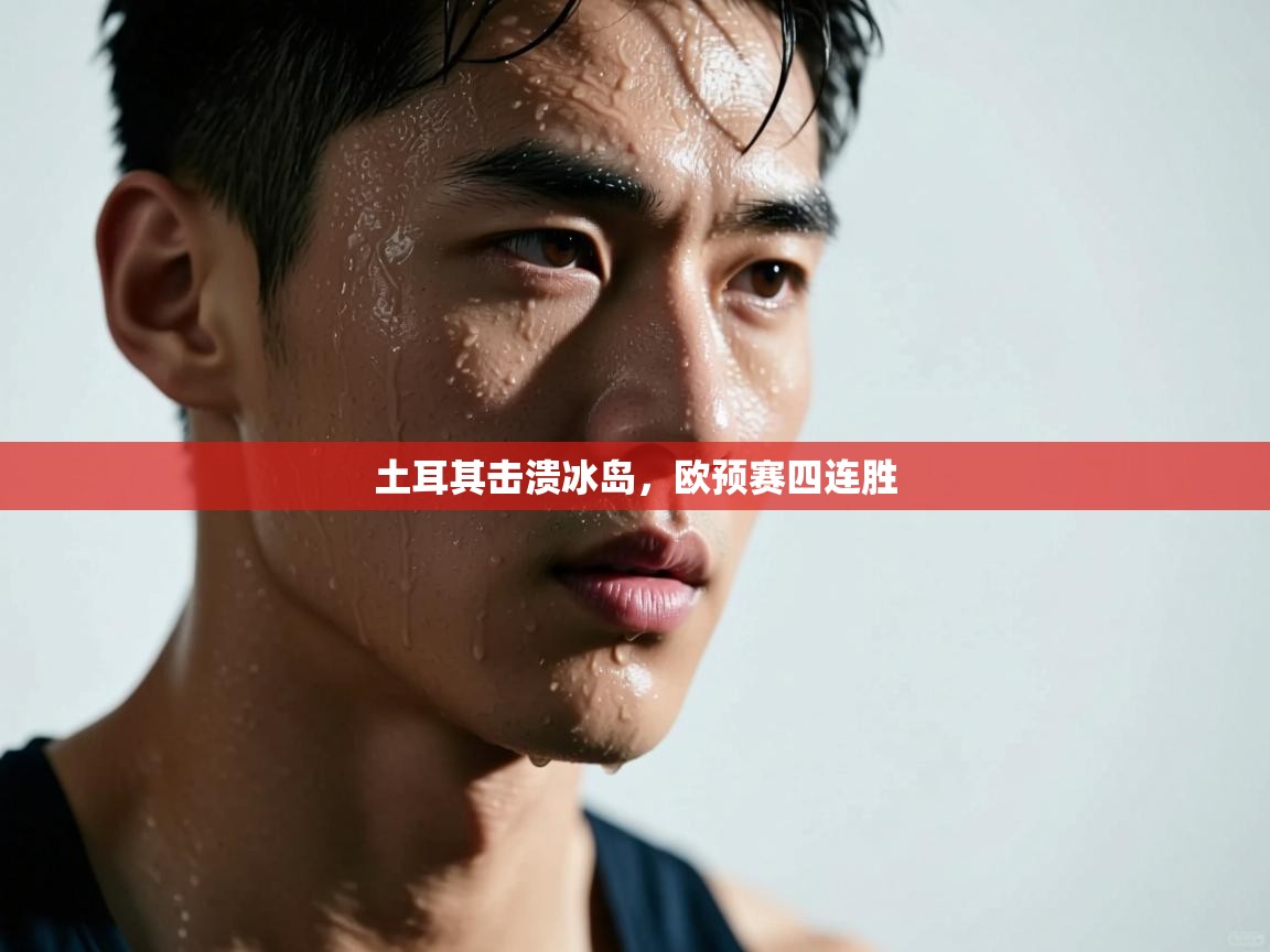 土耳其击溃冰岛，欧预赛四连胜  第2张