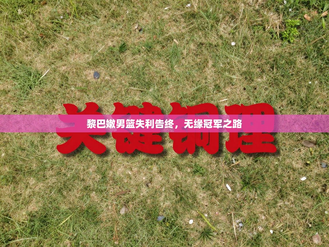 黎巴嫩男篮失利告终，无缘冠军之路  第1张